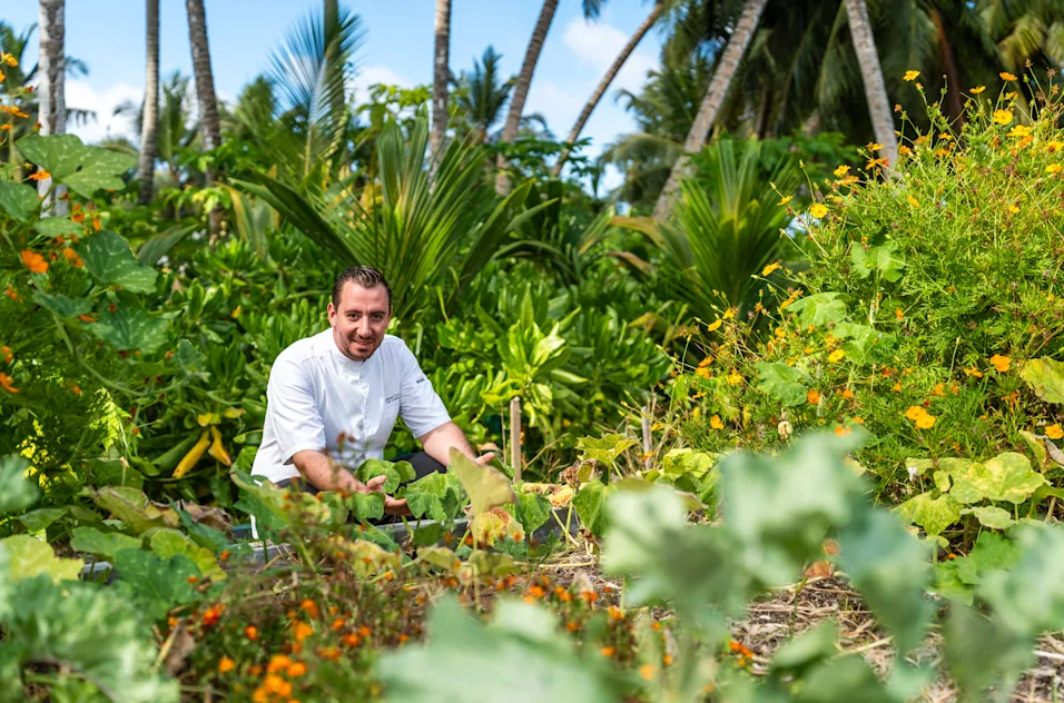 Jardin biologique de l'île Platte à l'hôtel Waldorf Astoria aux Seychelles